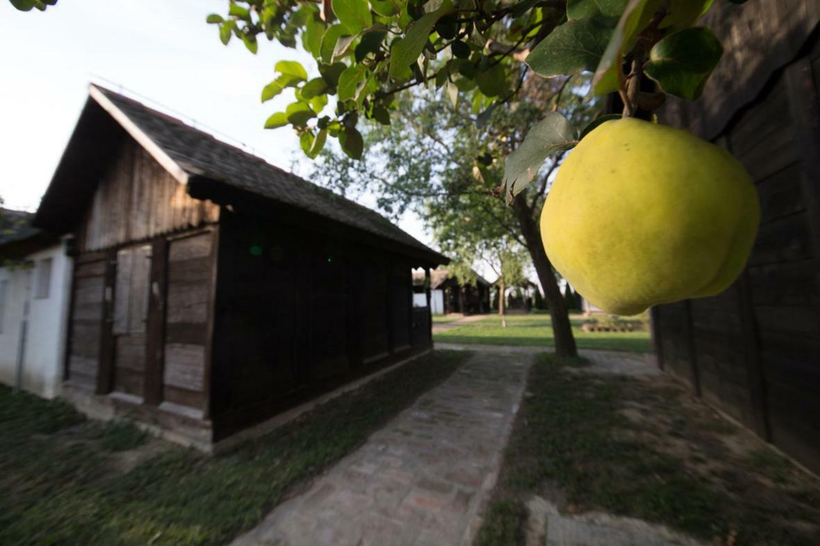 Acin salas Tordinci Exterior foto